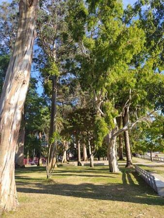 Apartamentos Mar De La Concha Vilagarcia de Arousa Dış mekan fotoğraf
